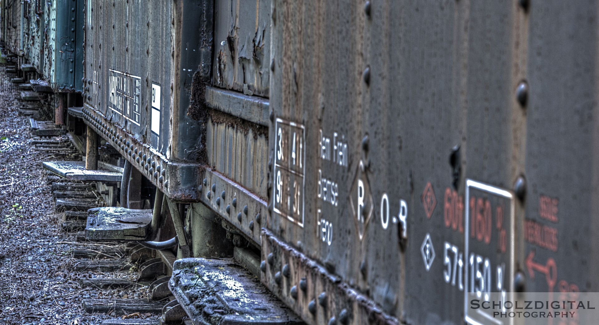 Verlassene Waggons - Abandoned Trains