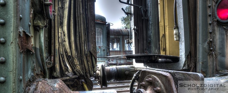 Verlassene Waggons - Abandoned Trains