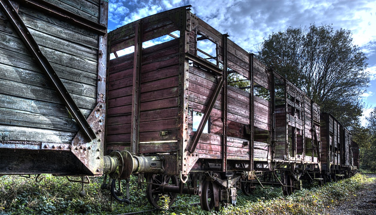 Abandoned Trains