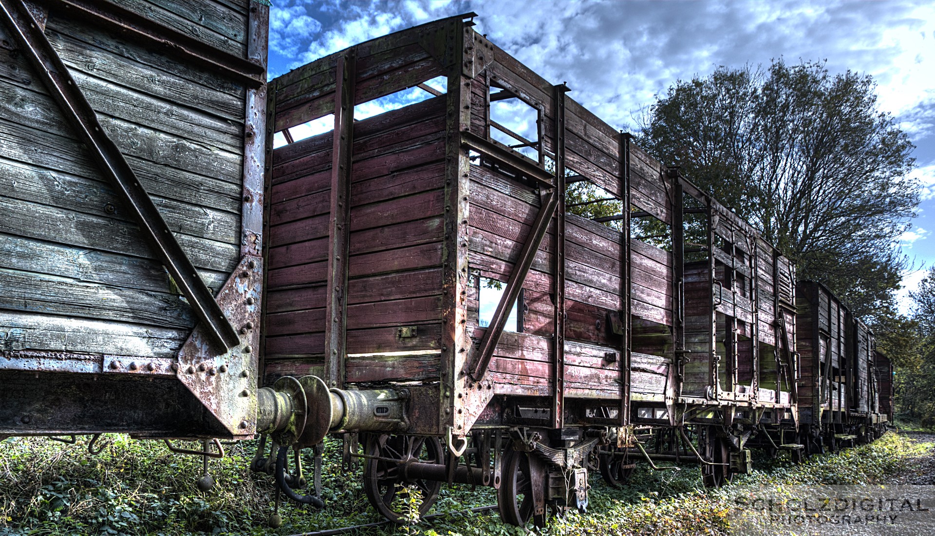 Abandoned Trains