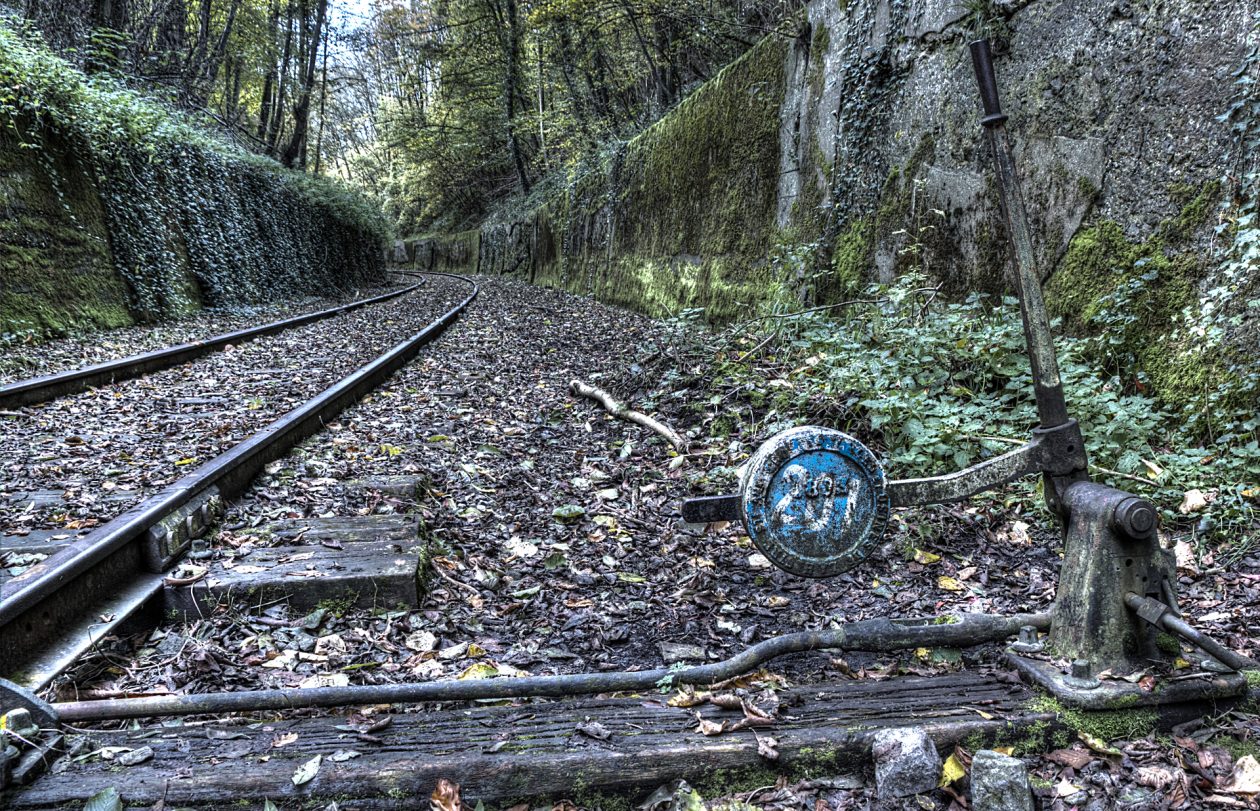 Abandoned Trains