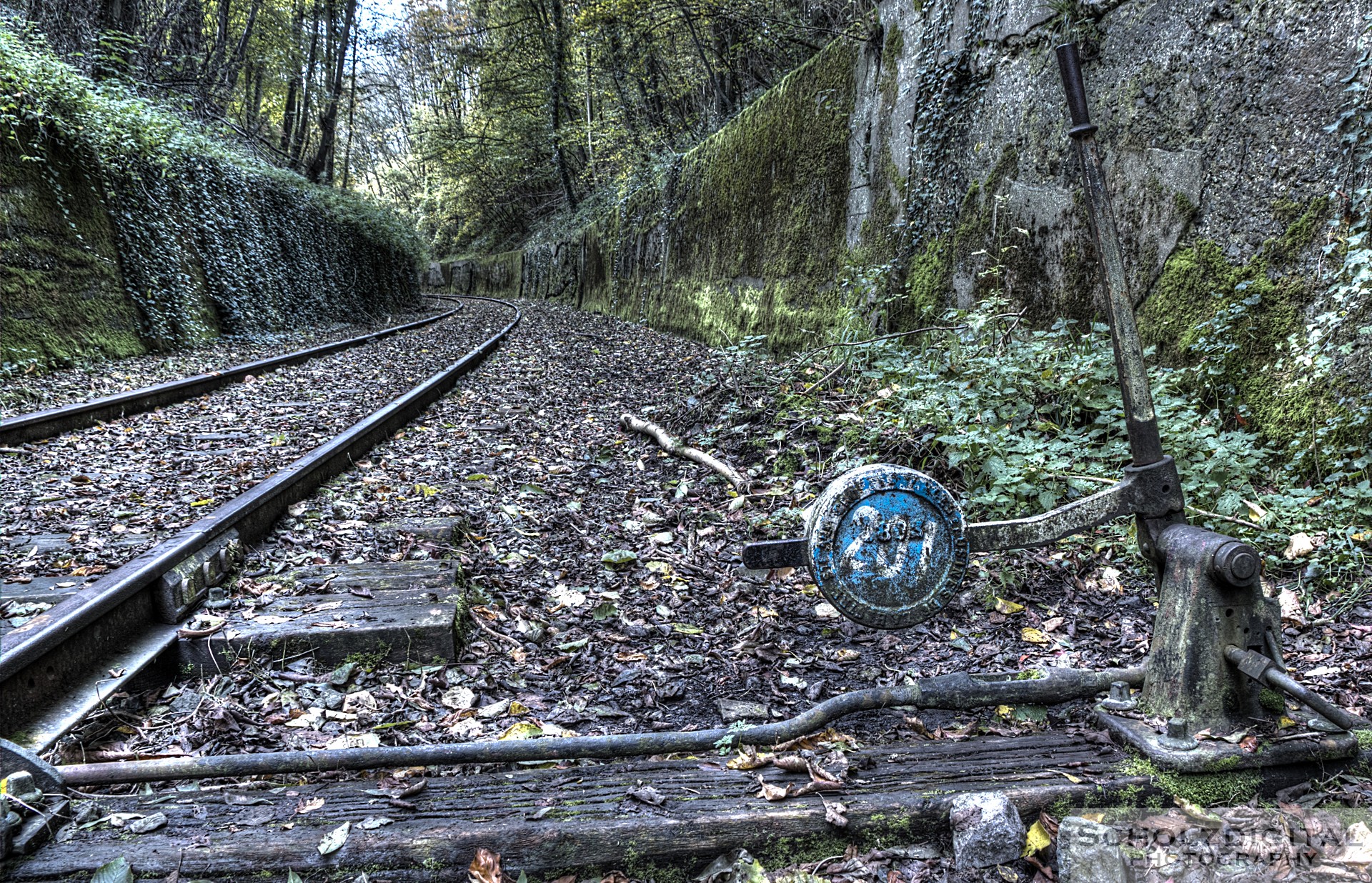 Abandoned Trains