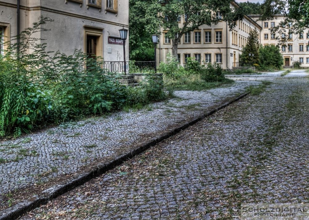 Bogensee bei Berlin