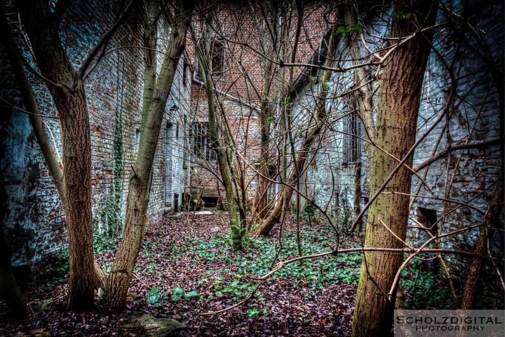 Lost Place - ein verlassener Bauernhof