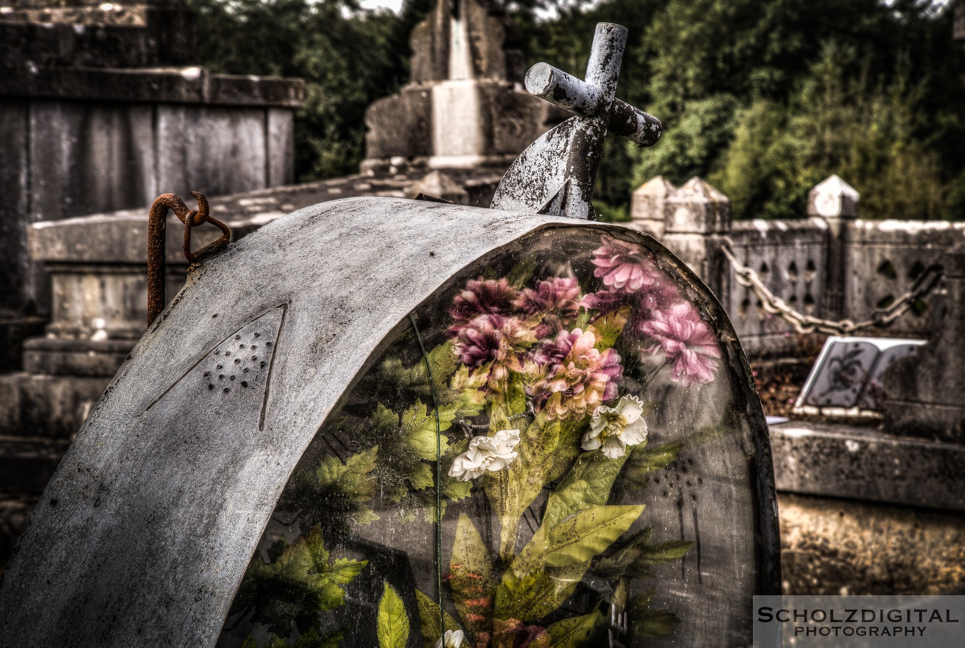 Urbex Flowers