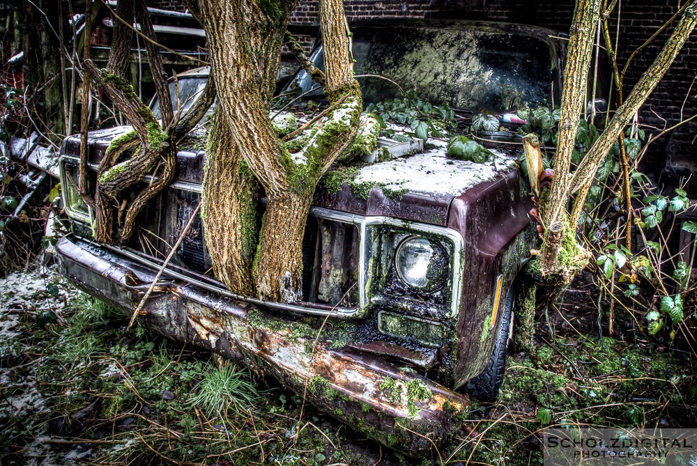 Biofuel Farm Lost Place HDR Urbex