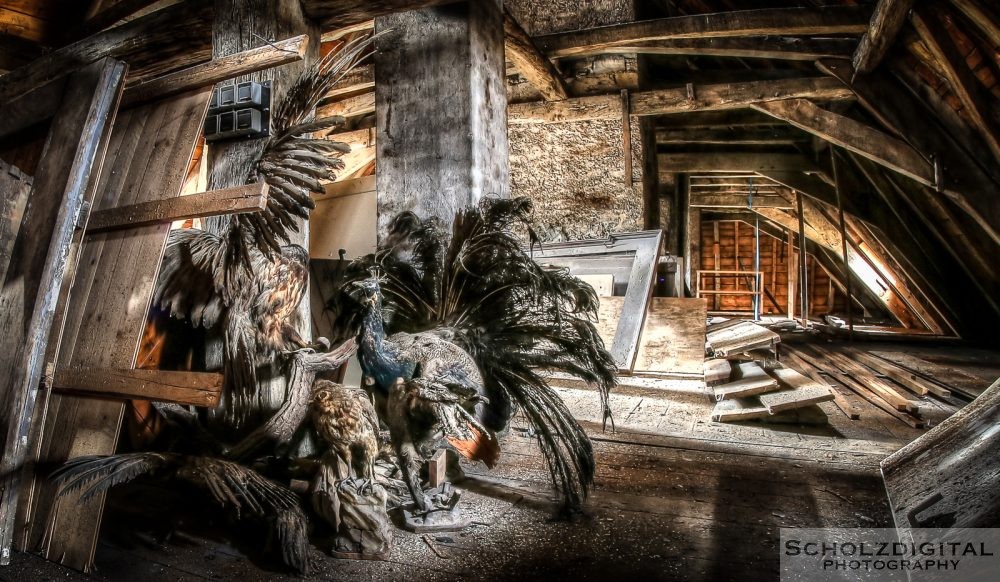 Ecole du chateau - Lost Place - urbex -verlassenes Schloss - abandoned HDR