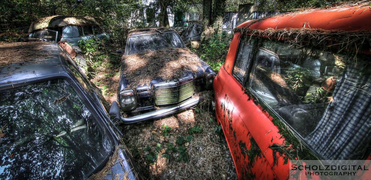 Urbex, Lost Place, HDR, Abandoned, verlassene Orte, verlassen, verlaten, Urban exploration, UE, Belgien, Belgium, Iron Forest, Autofriedhof, Autokerkhof, Cars, Autos, Schrottplatz