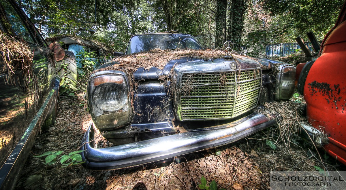 Urbex, Lost Place, HDR, Abandoned, verlassene Orte, verlassen, verlaten, Urban exploration, UE, Belgien, Belgium, Iron Forest, Autofriedhof, Autokerkhof, Cars, Autos, Schrottplatz