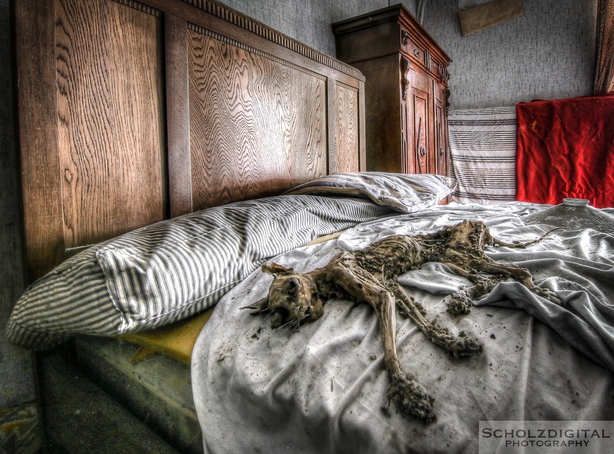 Urbex, Lost Place, HDR, Abandoned, verlassene Orte, verlassen, verlaten, Urban exploration, UE, Holand, Belgien, Maison Felix le Chat,