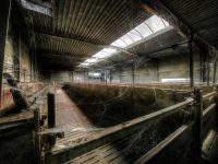 Abandoned, Belgie, Belgien, HDR, Lost Place, Schlachthof, Slaughterhouse, UE, Urban exploration, Urbex, verlassen, Verlassene Orte, verlaten