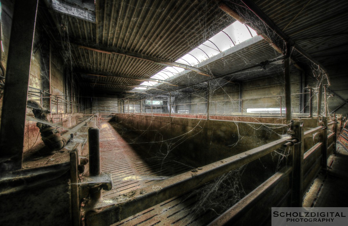 Abandoned, Belgie, Belgien, HDR, Lost Place, Schlachthof, Slaughterhouse, UE, Urban exploration, Urbex, verlassen, Verlassene Orte, verlaten