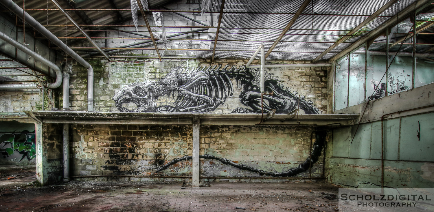 Abandoned, HDR, Lost Place, UE, Urban exploration, Urbex, Usine Skeleton, verlassen, Verlassene Orte, Verlassene Orte in Belgien, verlaten