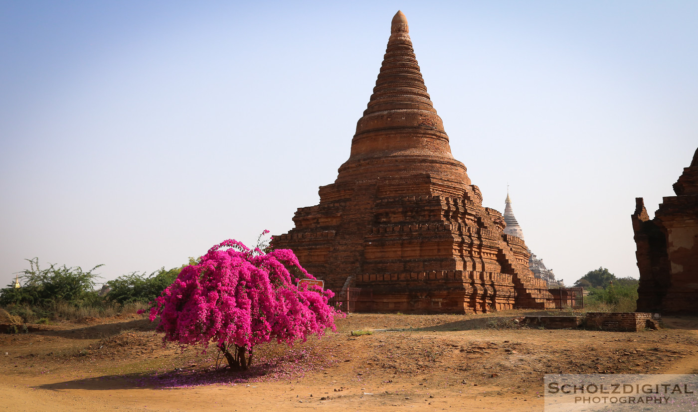 Urbex, Lost Place, Abandoned, verlassene Orte, verlassen, verlaten, Urban exploration, Bagan, Travelling, Myanmar, Birma, Burma, Tambadipa, tempel, tempelfeld, Buddha, Mandalay-Division,