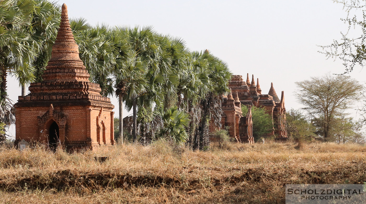 Urbex, Lost Place, Abandoned, verlassene Orte, verlassen, verlaten, Urban exploration, Bagan, Travelling, Myanmar, Birma, Burma, Tambadipa, tempel, tempelfeld, Buddha, Mandalay-Division,