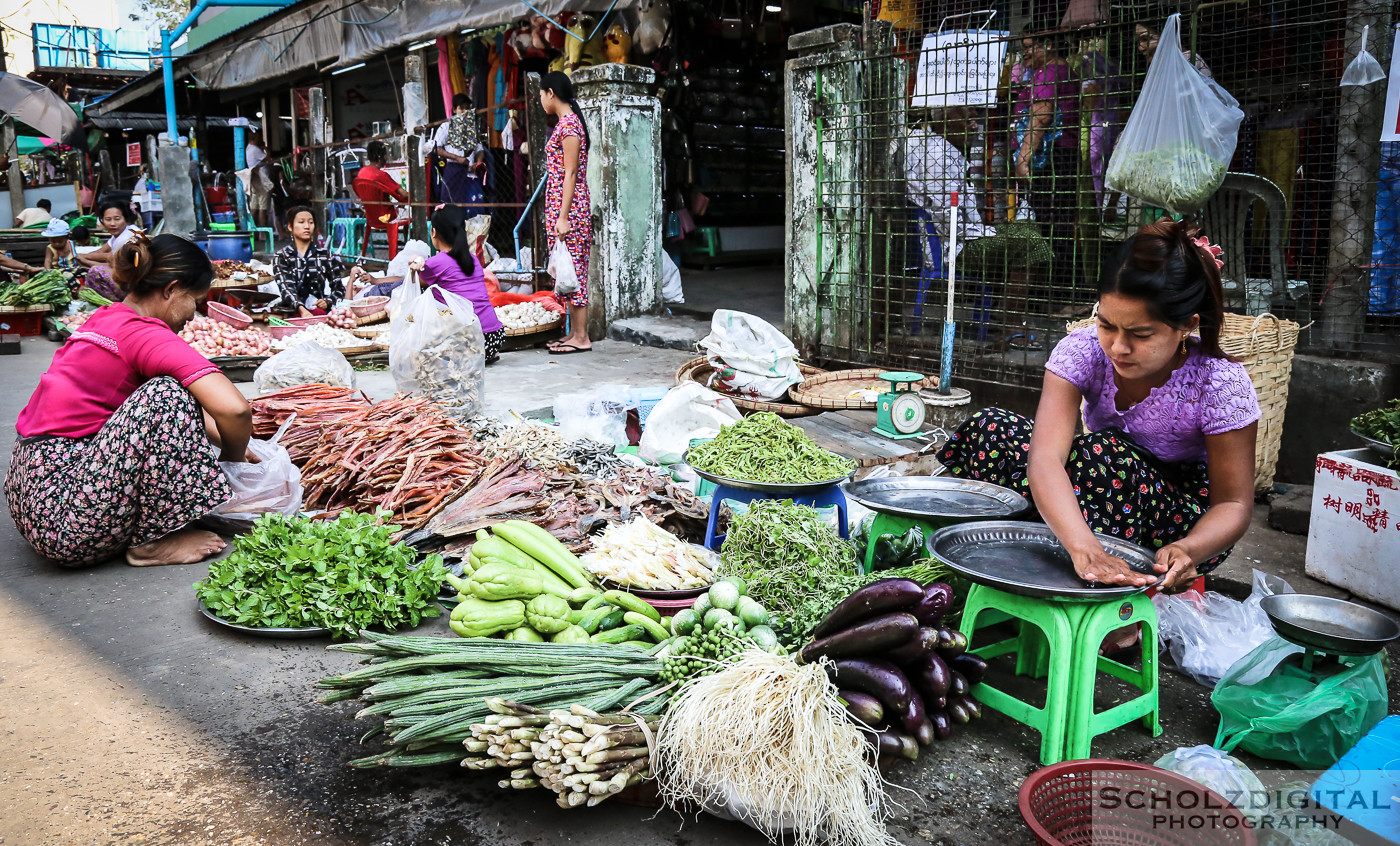 Birma, Burma, Exploring, Mandalay, Markt, Myanmar, Rangun Market, Travelling, Yangon, Southeast Asia, Asia, Asien