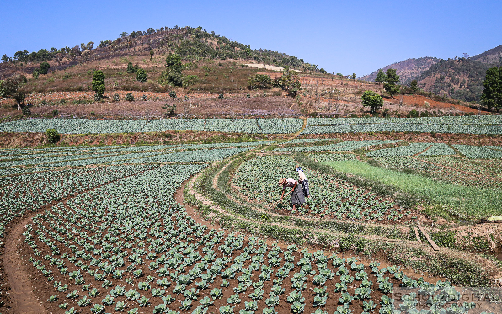 Asia, Birma, Burma, Exploring, globetrotter, Kalaw, Mandalay, Myanmar, Shan State, Southeastasia, Streetphotography, travel, Travelling, travelphotography, Wanderlust