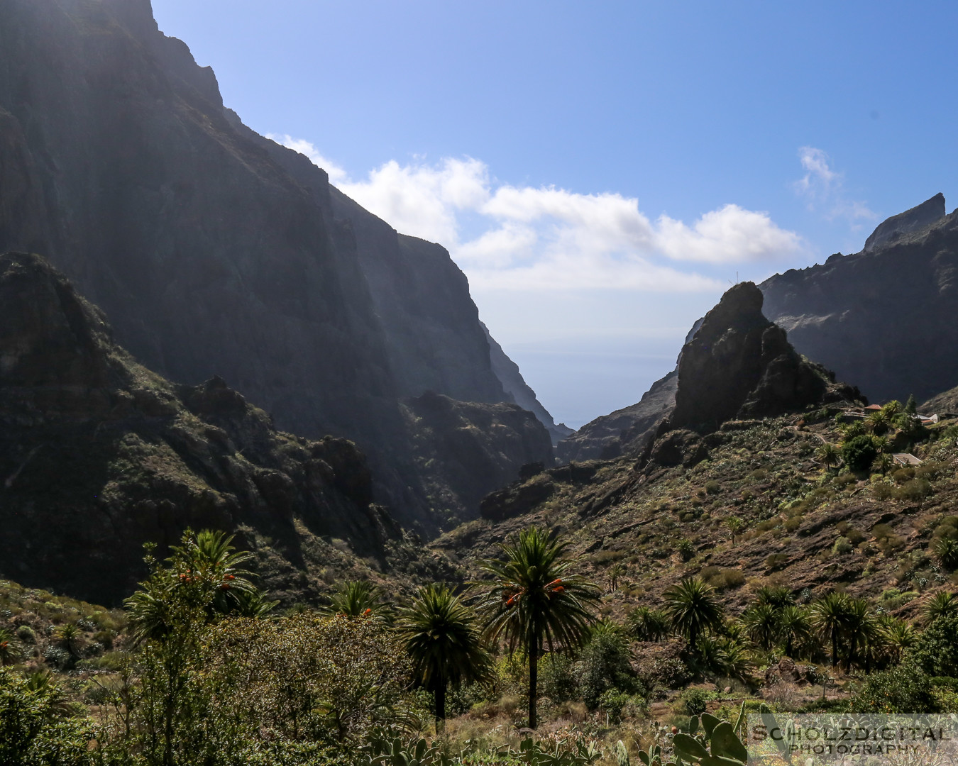 Teneriffa, Tenerife, Canary Islands, Kanaren, Teide Nationalpark, Vulcano, Vulkan, Krater