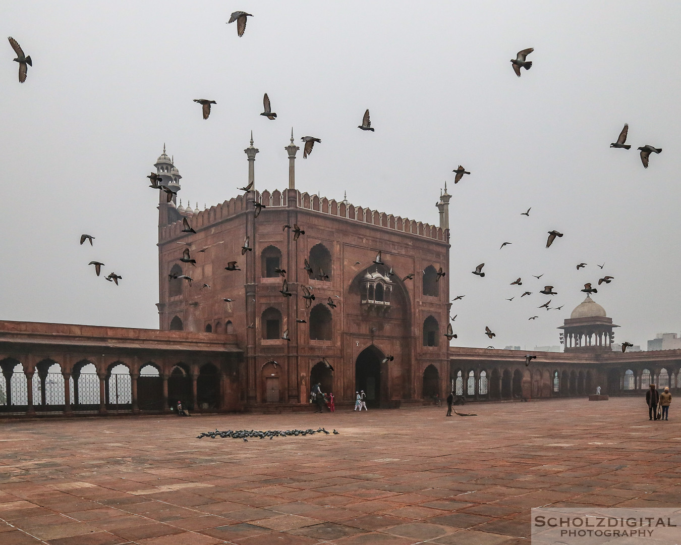 Asien, India, Indien, Jama Masjid in Delhi, Moschee, Shahjahanabad