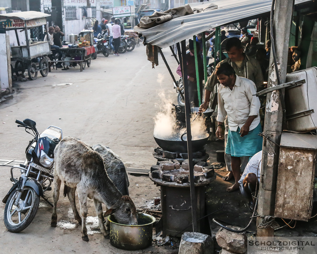 India, Indien, Karauli, Rajasthan, Rundreise, Streetlife, Streetphotography, Wüste