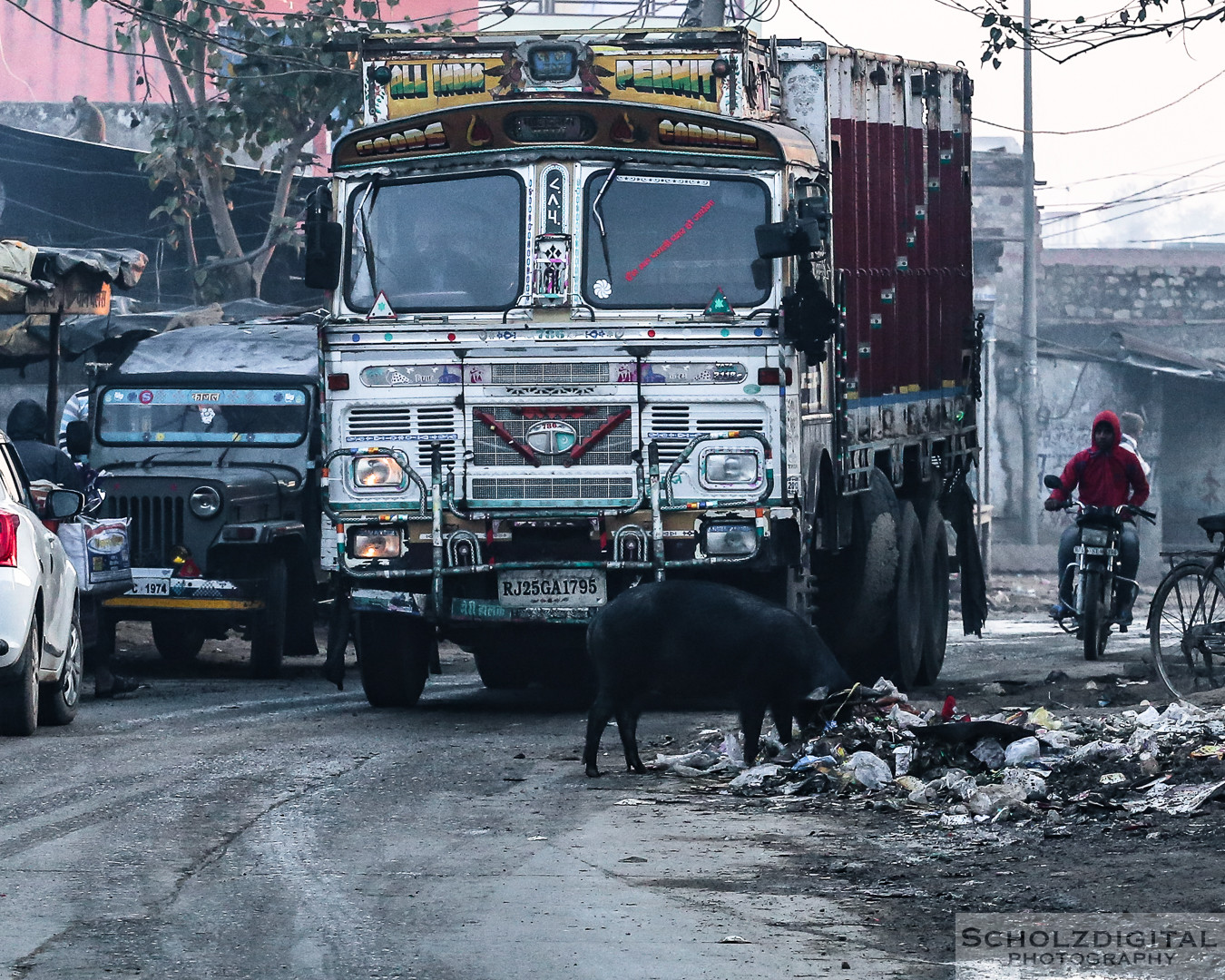 India, Indien, Karauli, Rajasthan, Rundreise, Streetlife, Streetphotography, Wüste