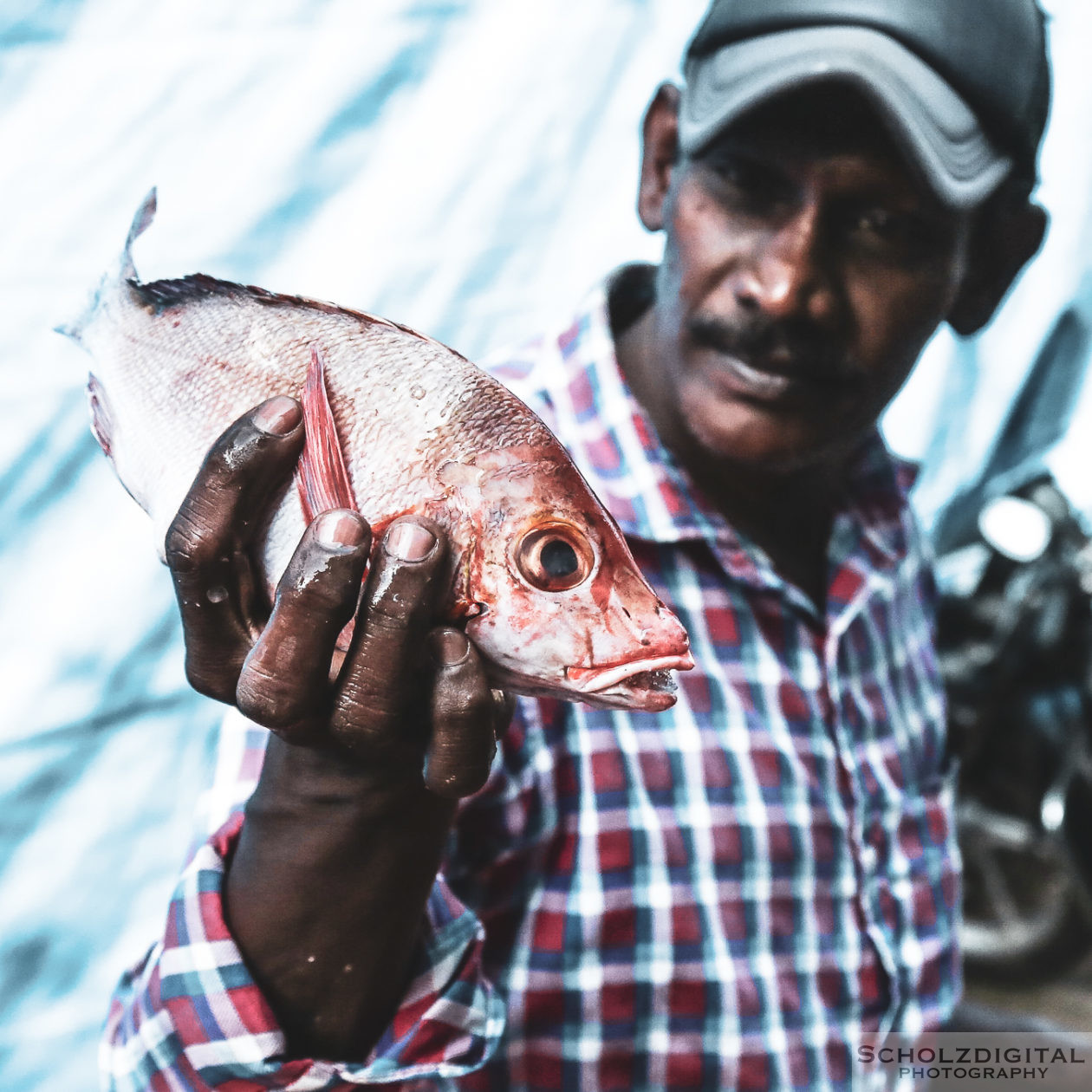 chinesische Fischernetze, Cochin, Fisch, Fischer, Fischerei, India, Indien, Kerala, Kochi, Rundreise, Streetphotography