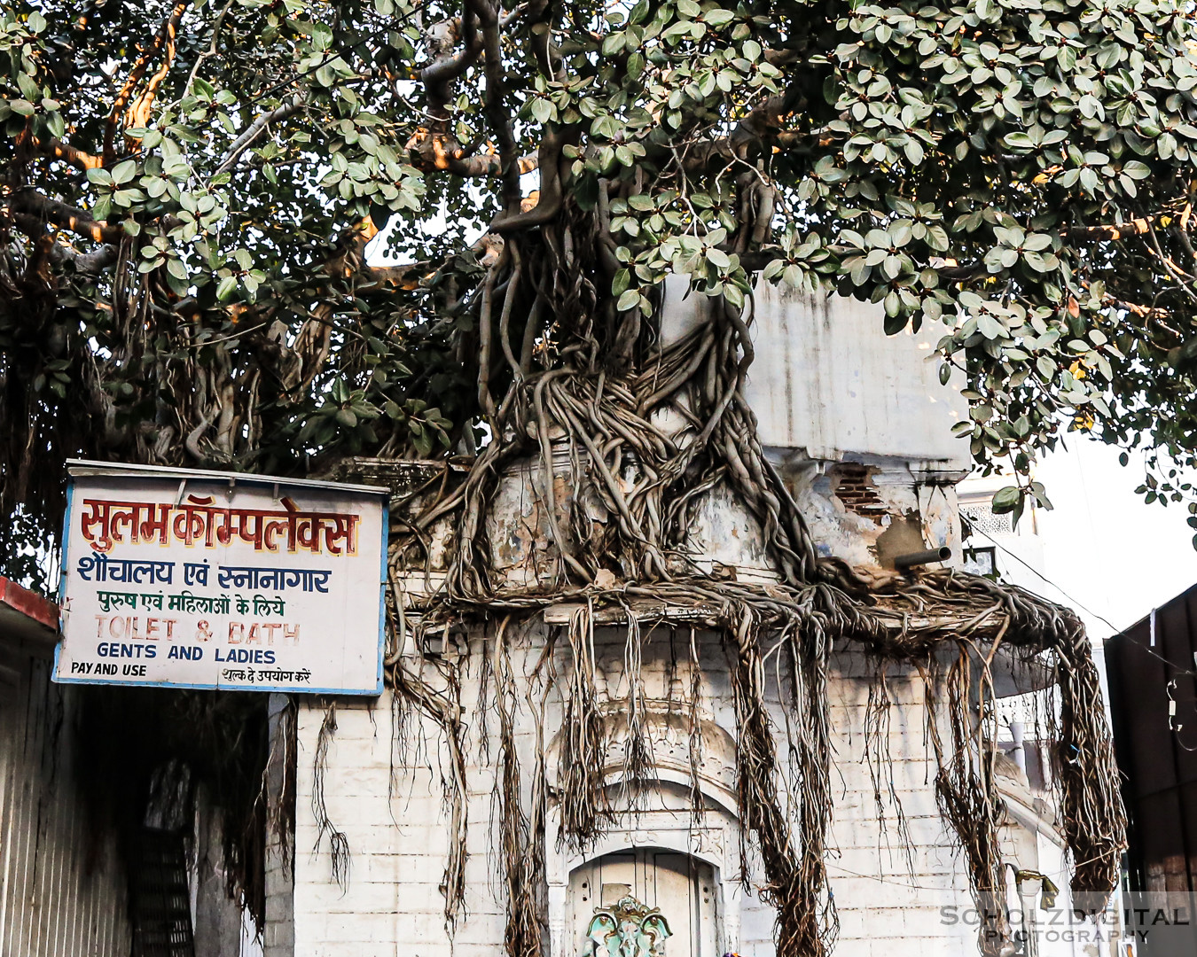 Ghats, India, Indien, Kamelmarkt, Pushkar, Pushkarsee, Rajasthan, Rundreise, Streetlife, Streetphotography, Wüste