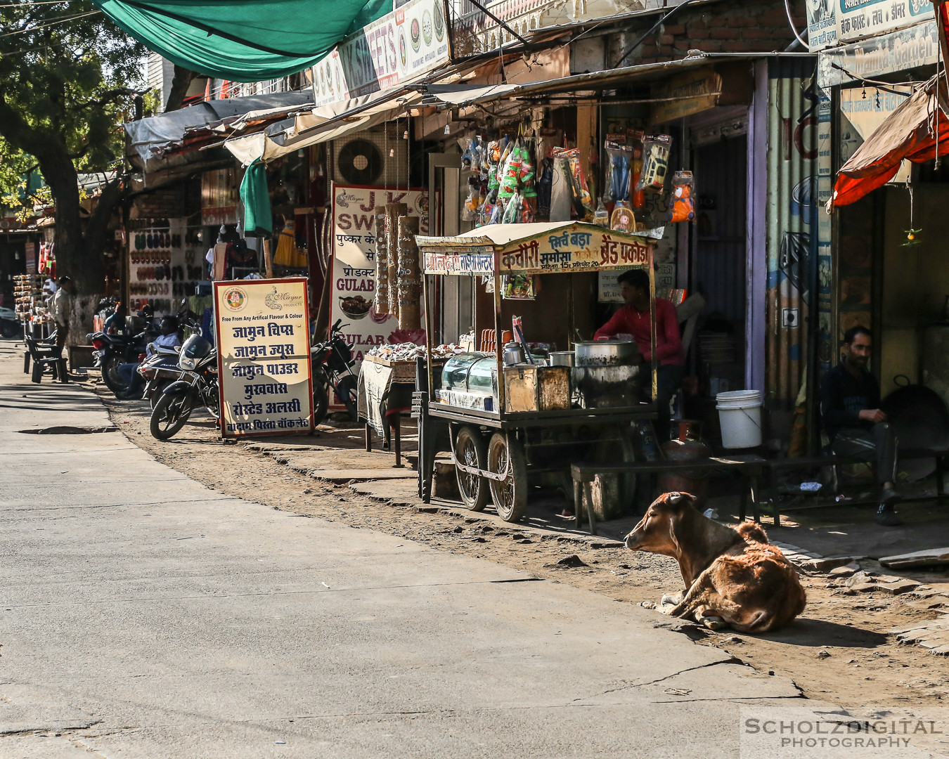 Ghats, India, Indien, Kamelmarkt, Pushkar, Pushkarsee, Rajasthan, Rundreise, Streetlife, Streetphotography, Wüste