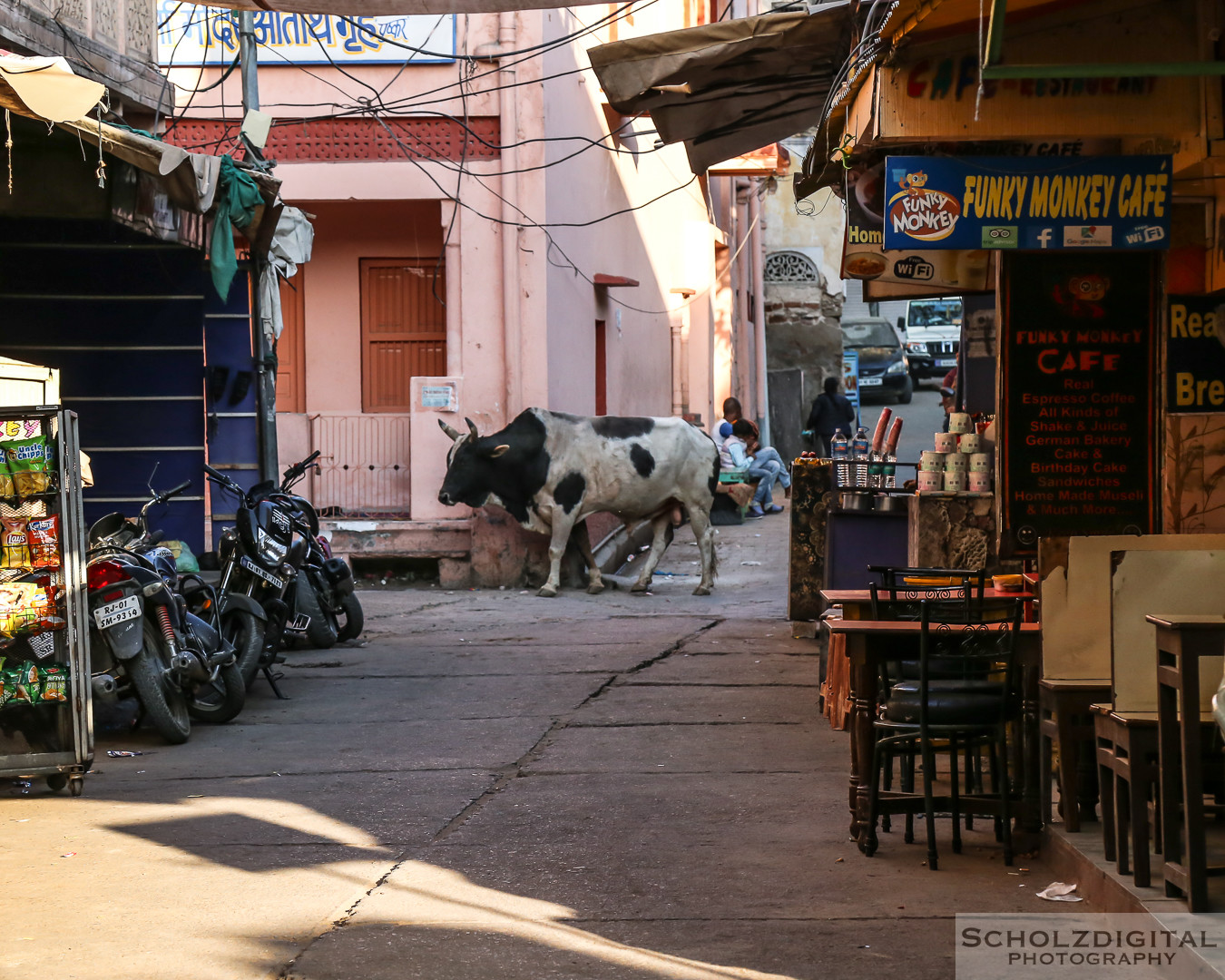 Ghats, India, Indien, Kamelmarkt, Pushkar, Pushkarsee, Rajasthan, Rundreise, Streetlife, Streetphotography, Wüste