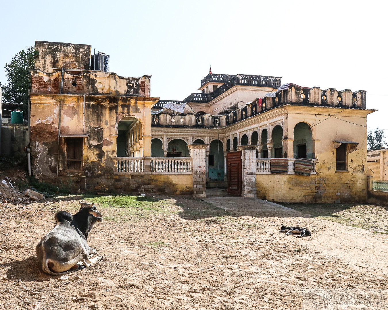 Indien, India, Streetphotography, Rundreise, Rajasthan, Wüste, Streetlife, Mandawa, Haveli, Kaufmannspaläste