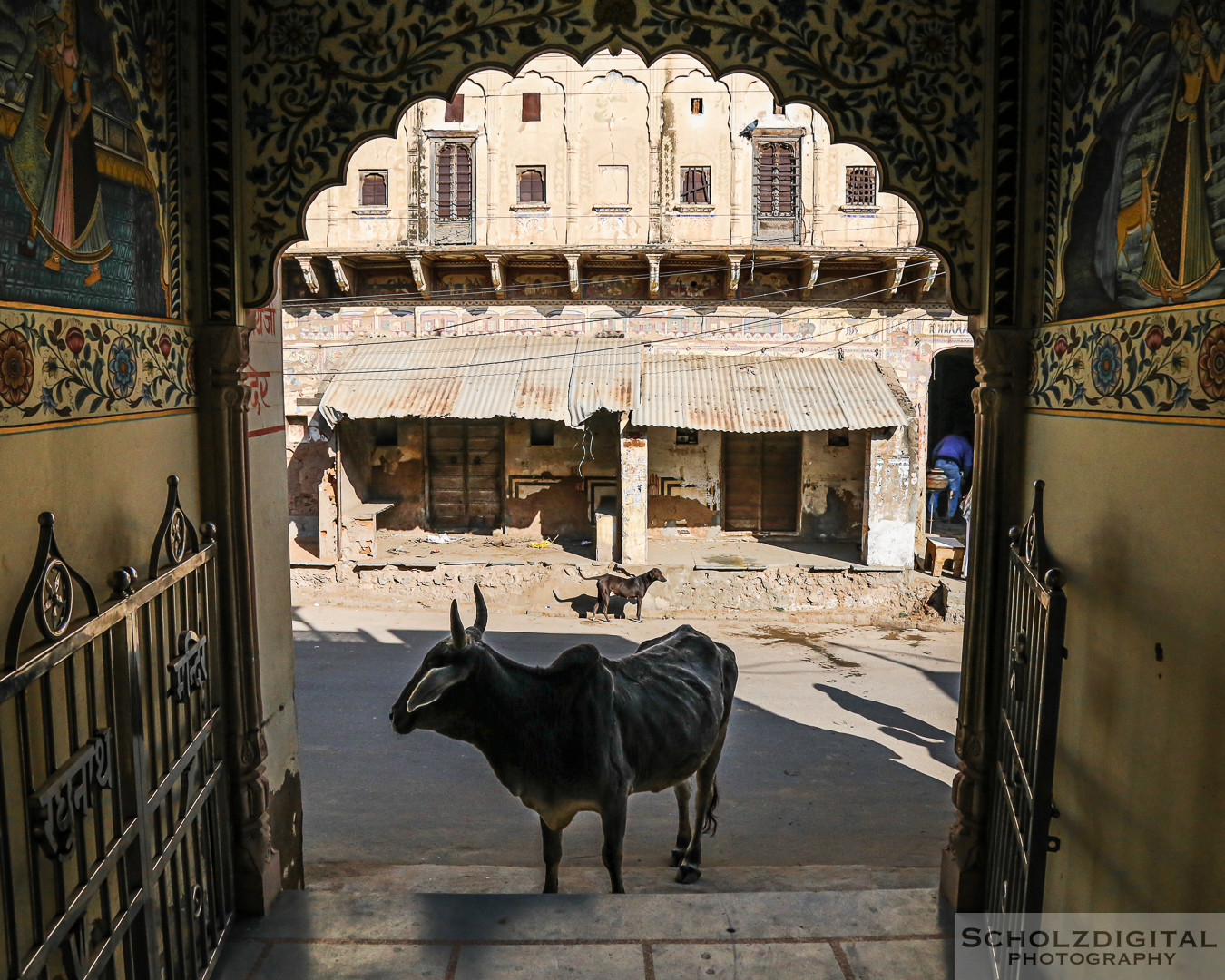 Indien, India, Streetphotography, Rundreise, Rajasthan, Wüste, Streetlife, Mandawa, Haveli, Kaufmannspaläste