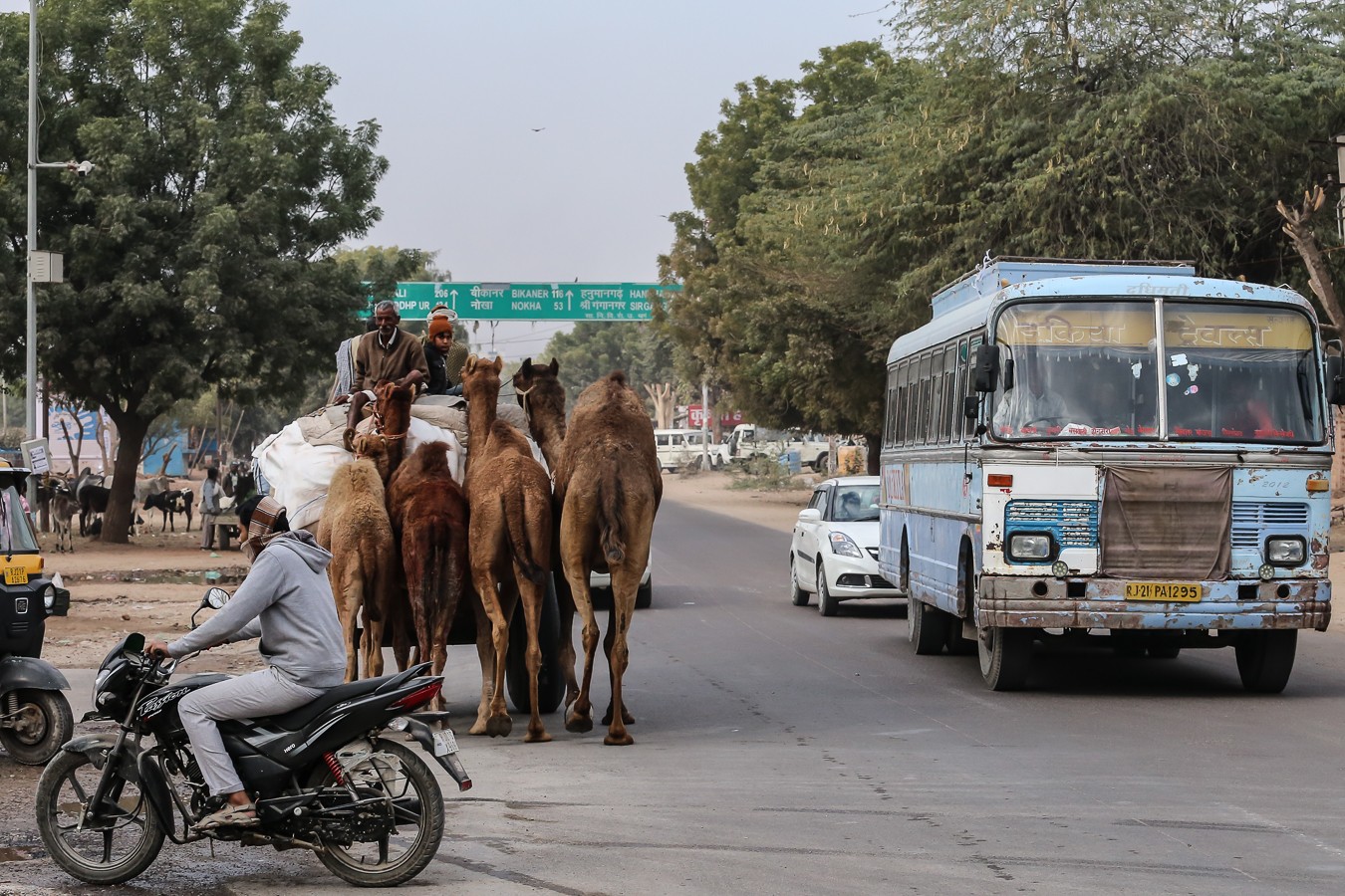 Kamelhändler, Bikaner Rajasthan, Indien
