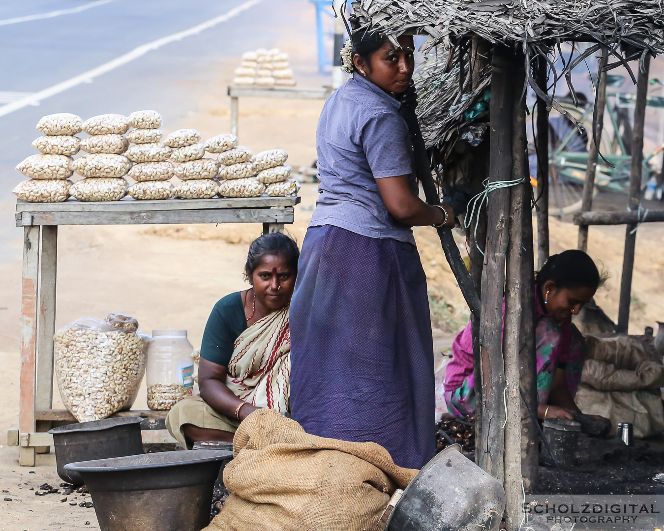 Cashew, Tamil Nadu, Indien, Rundreise