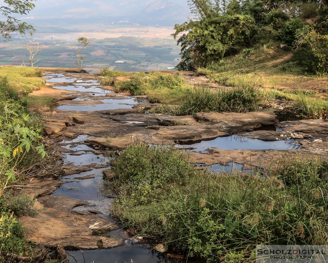 Kumily, Teeplantage, Kerala, Tamil Nadu, Indien,  Thekkady