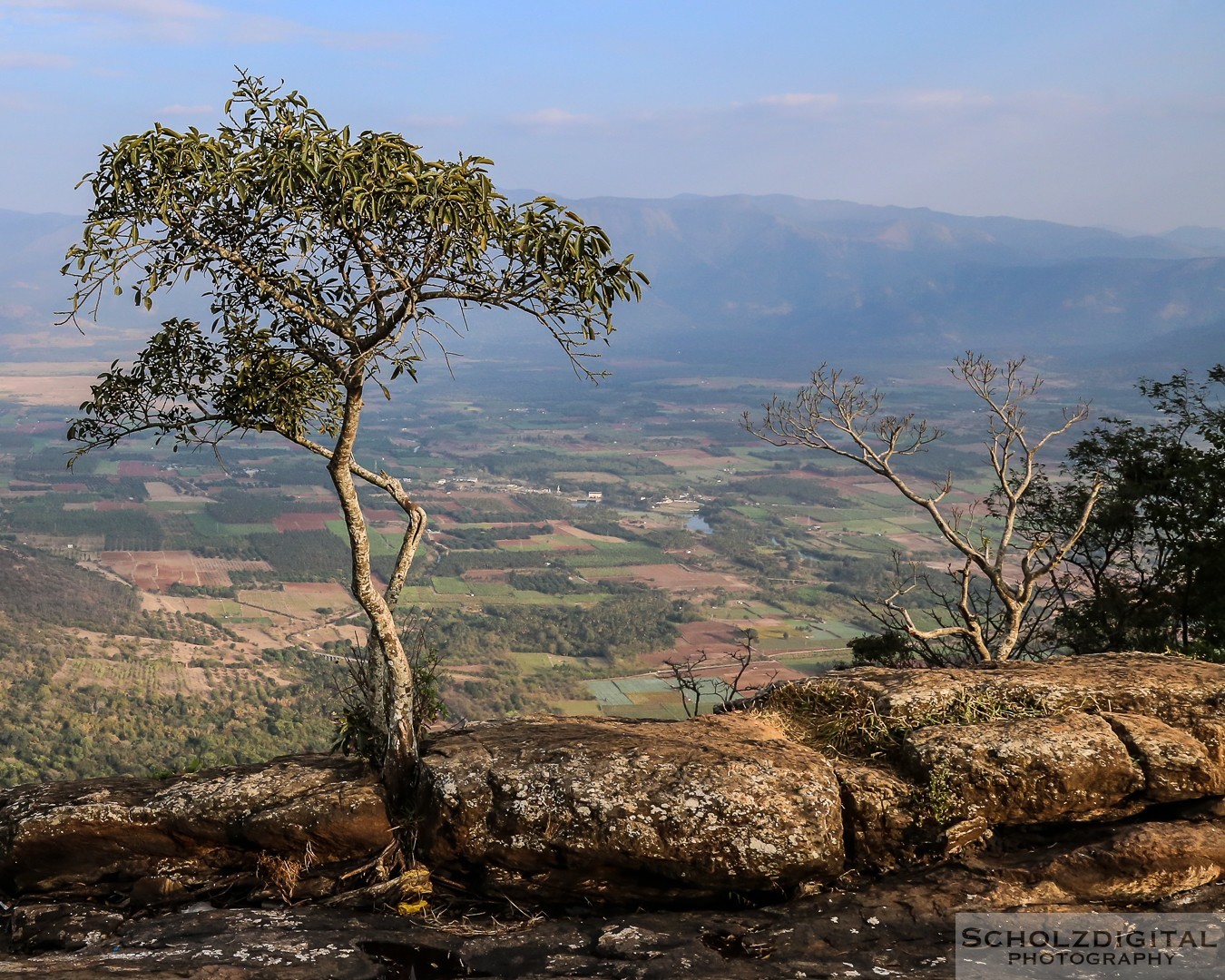 Kumily, Teeplantage, Kerala, Tamil Nadu, Indien,  Thekkady