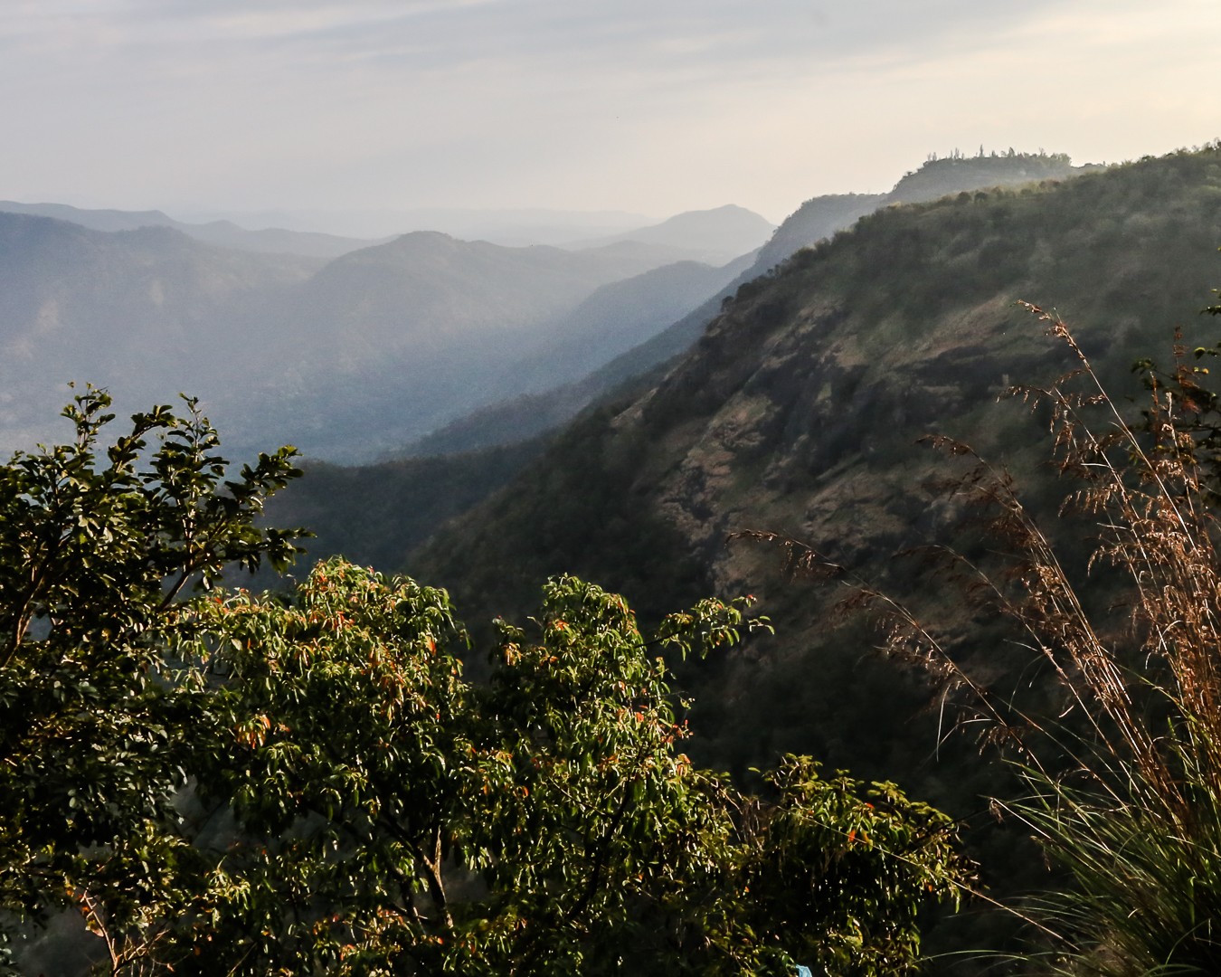 Kumily, Teeplantage, Kerala, Tamil Nadu, Indien,  Thekkady