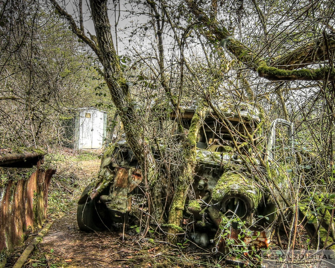 Urbex - verlassene Autos und lost in the forest