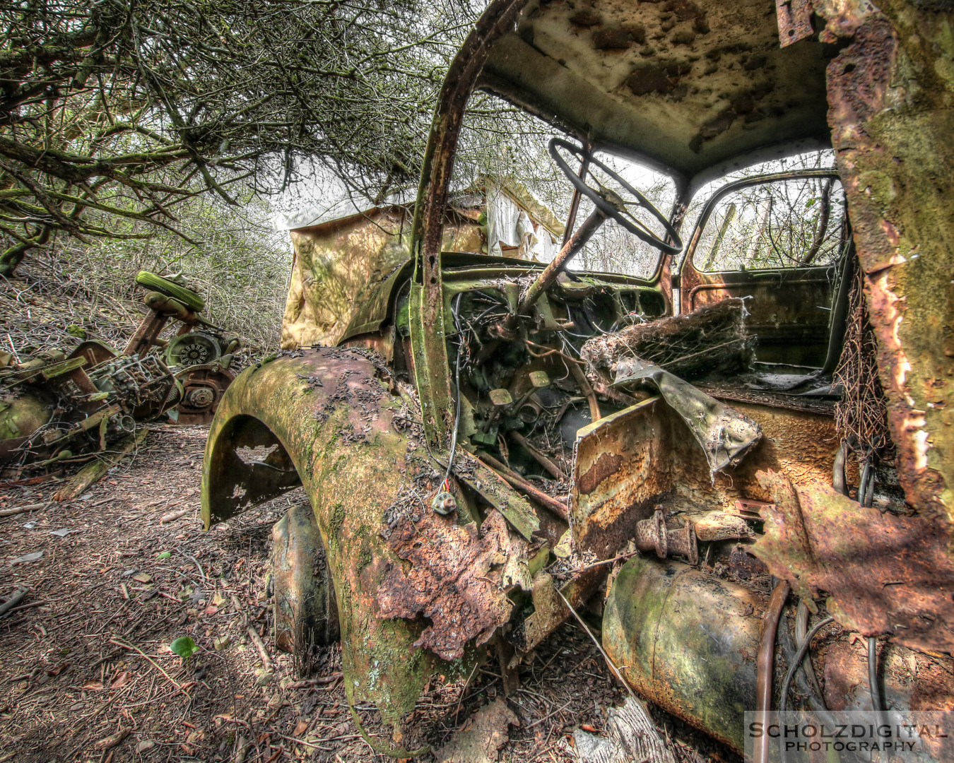 Urbex - verlassene Autos und lost in the forest