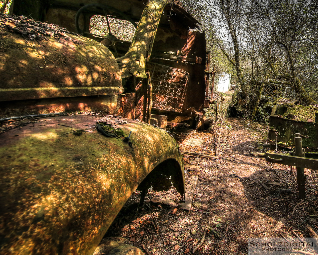 Urbex - verlassene Autos und lost in the forest