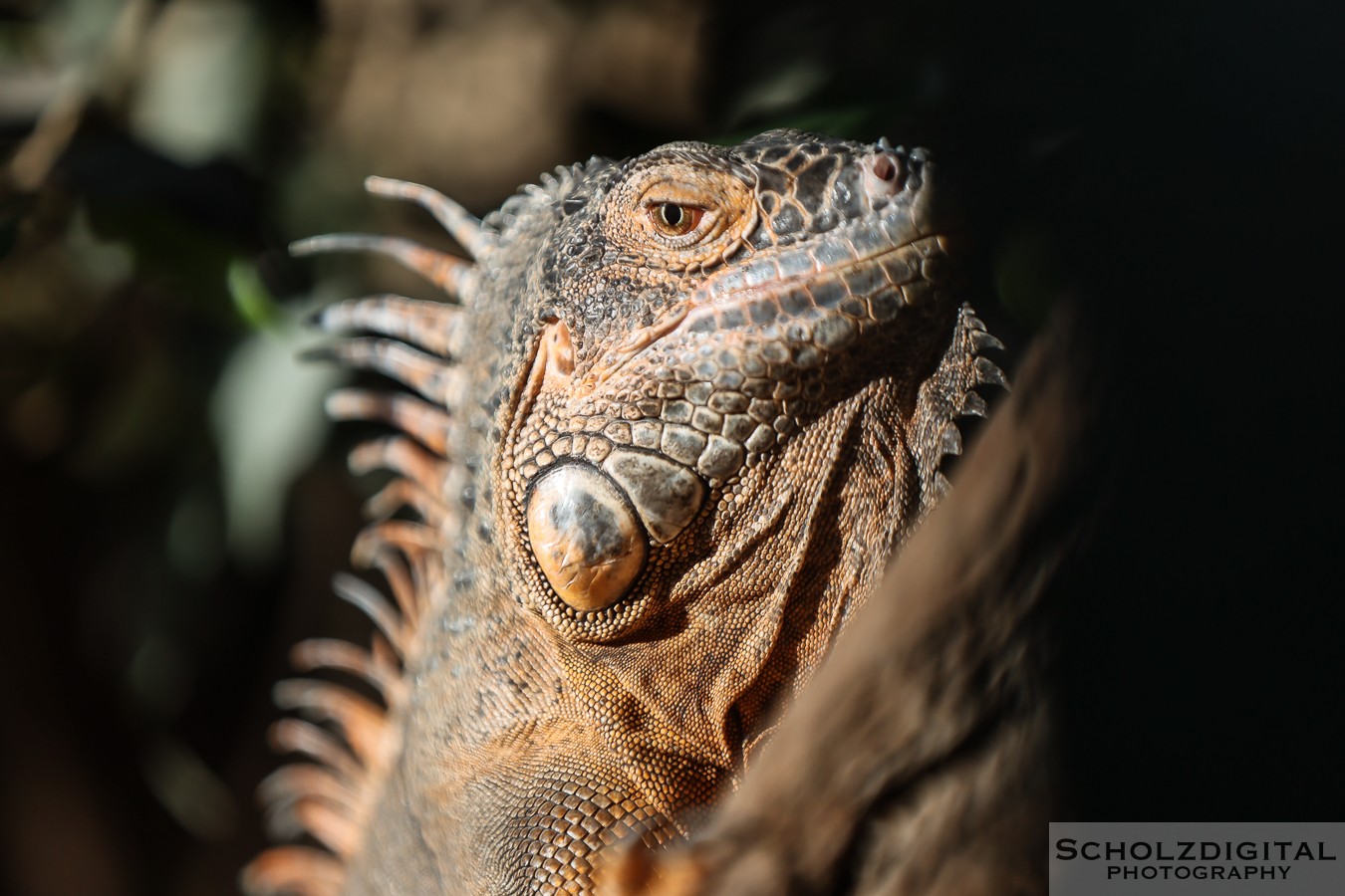 Terrazoo Rheinberg