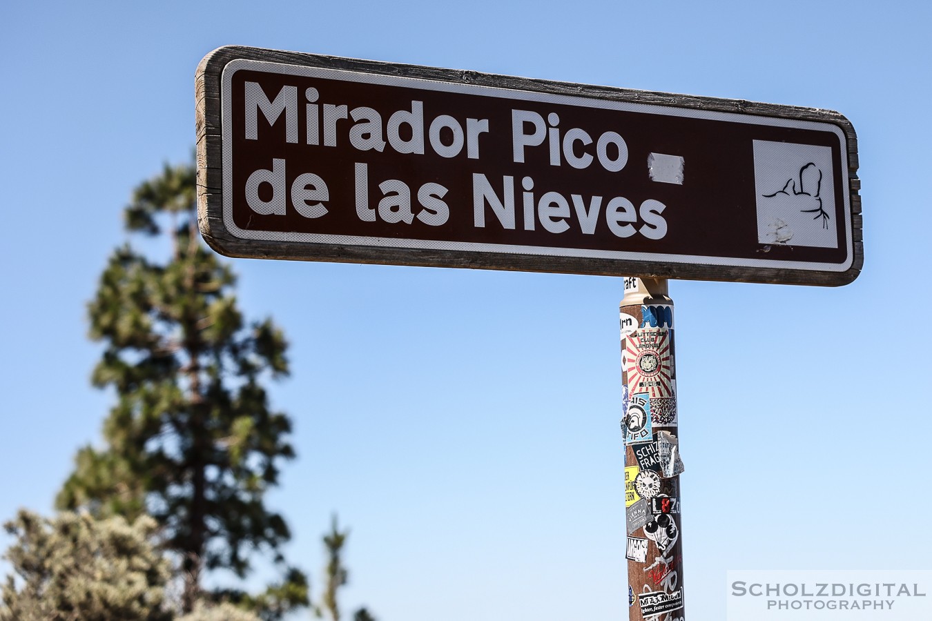 Mirador Pico de las Nieves