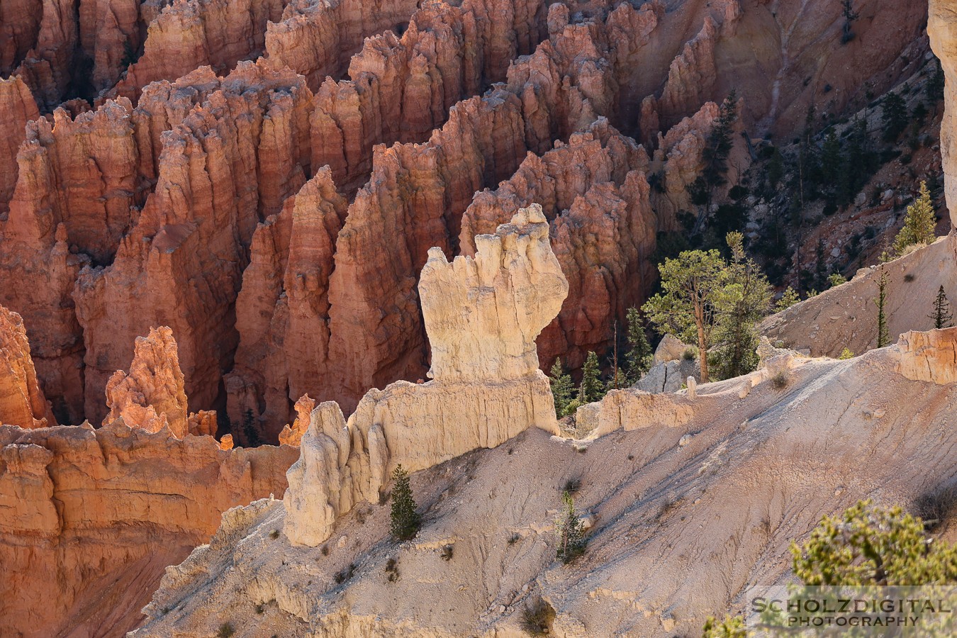 UTAH Nationalpark