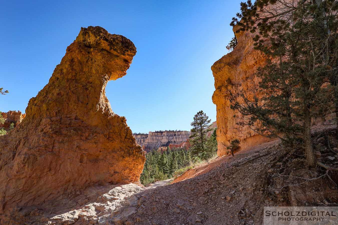 Bryce Canyon Nationalpark