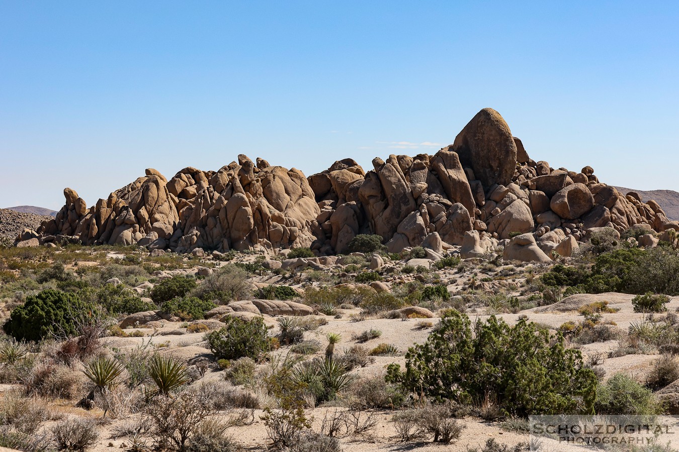 Joshua Tree Nationalpark