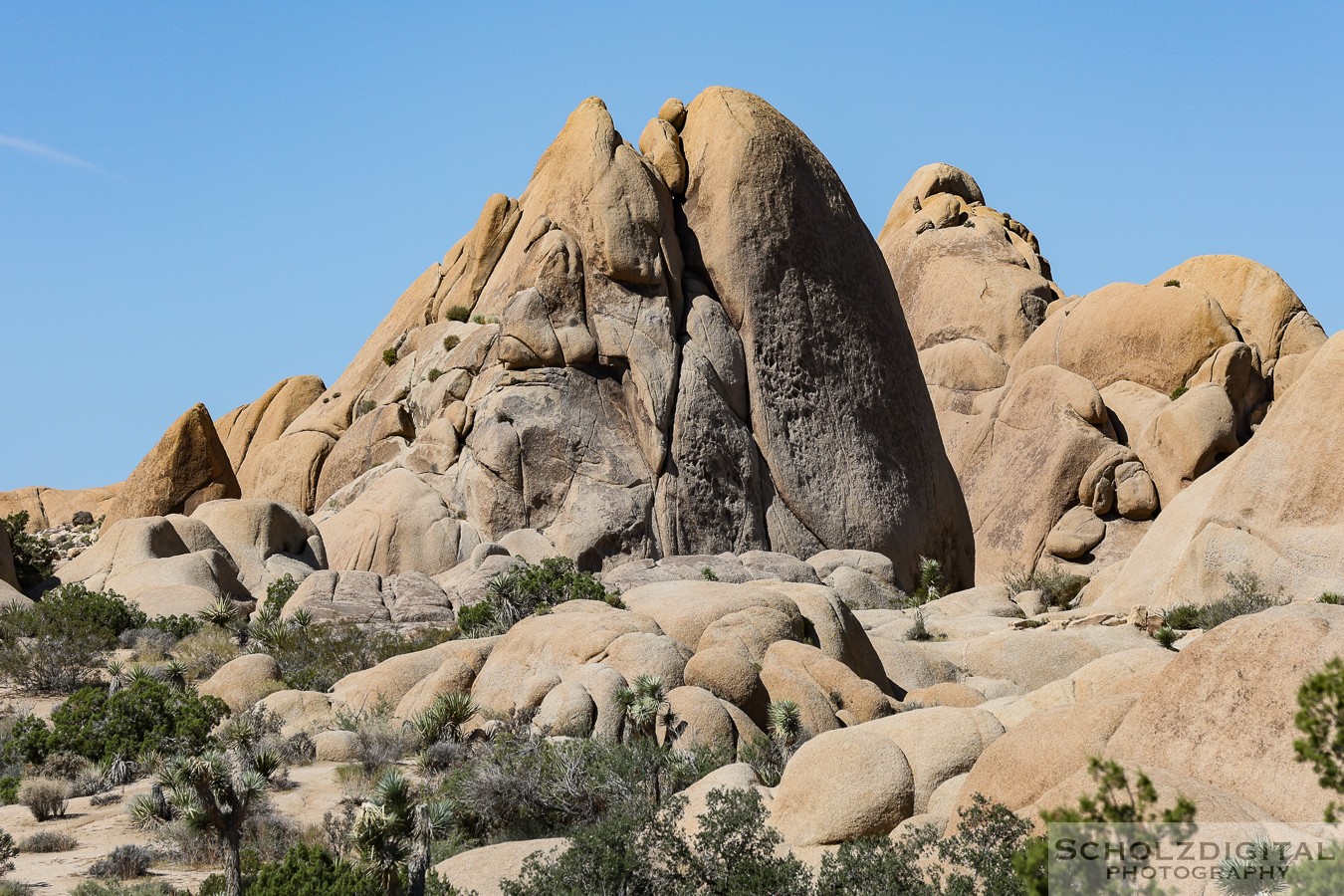 Joshua Tree Nationalpark