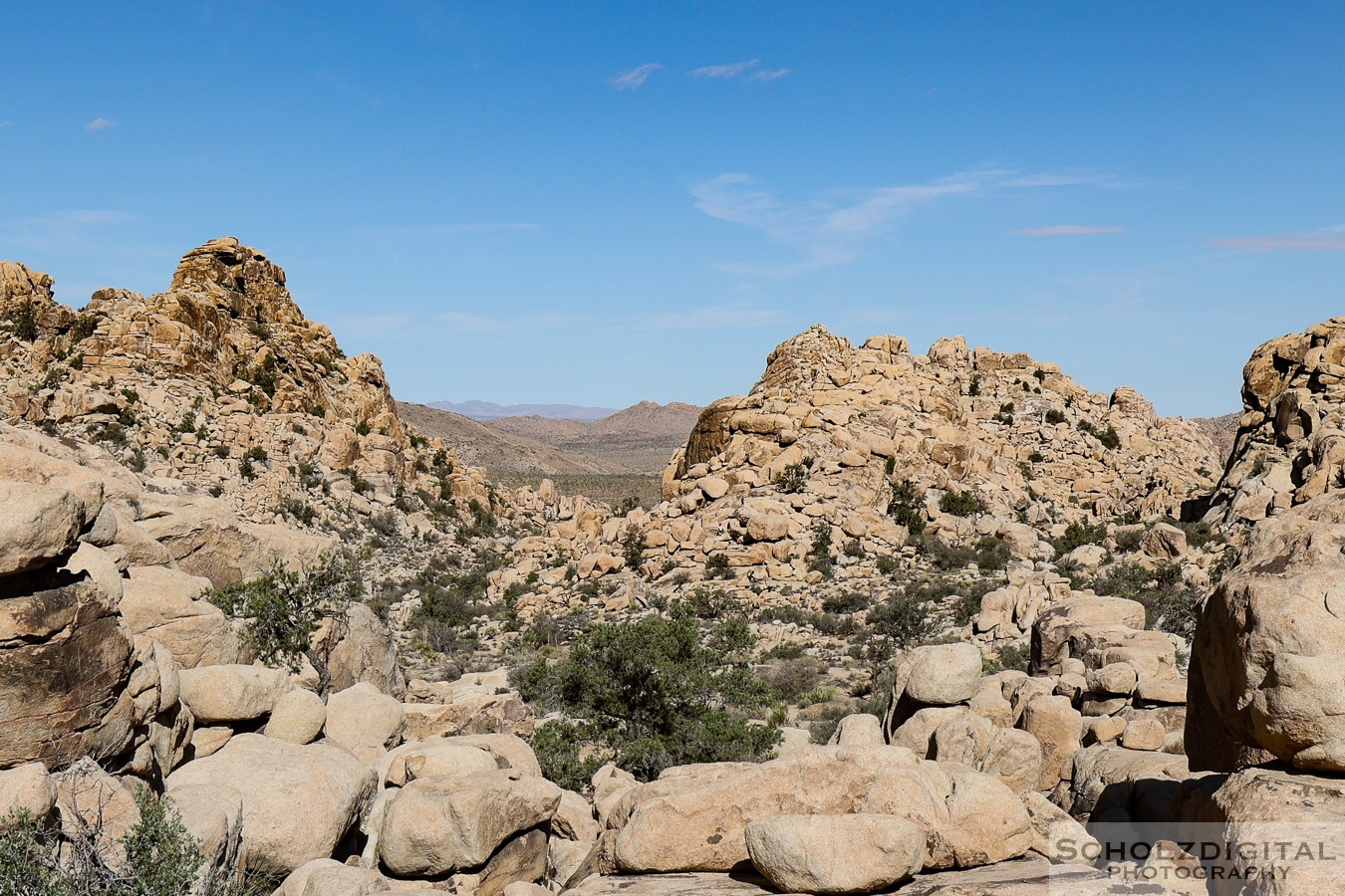 Joshua Tree Nationalpark