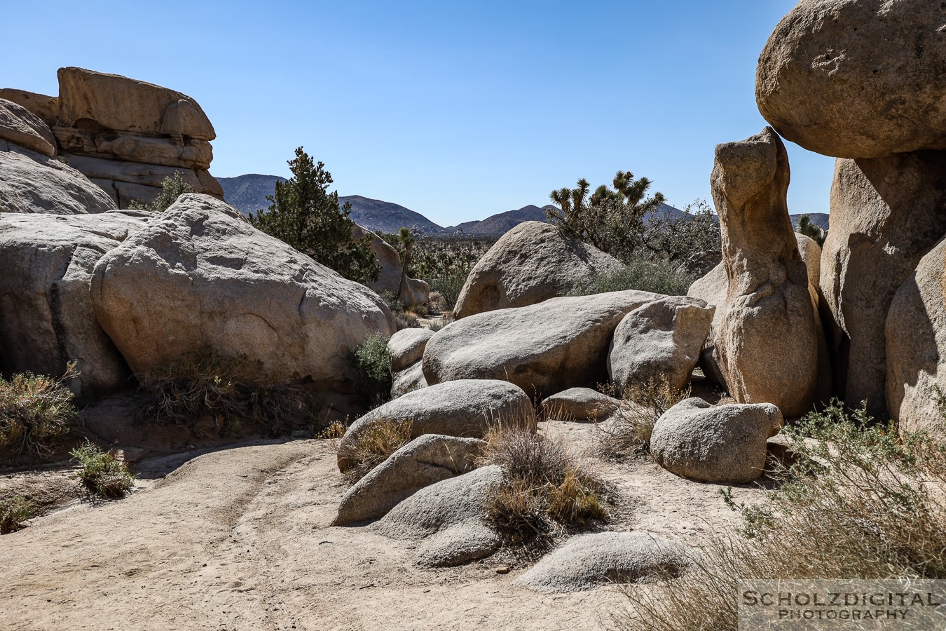 Joshua Tree Nationalpark