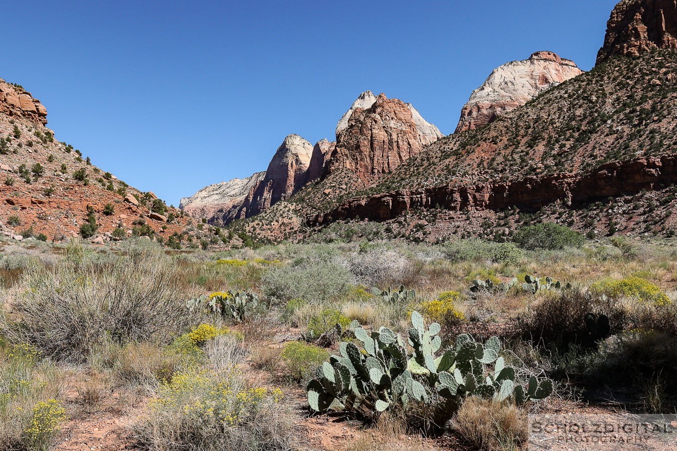 Zion Nationalpark