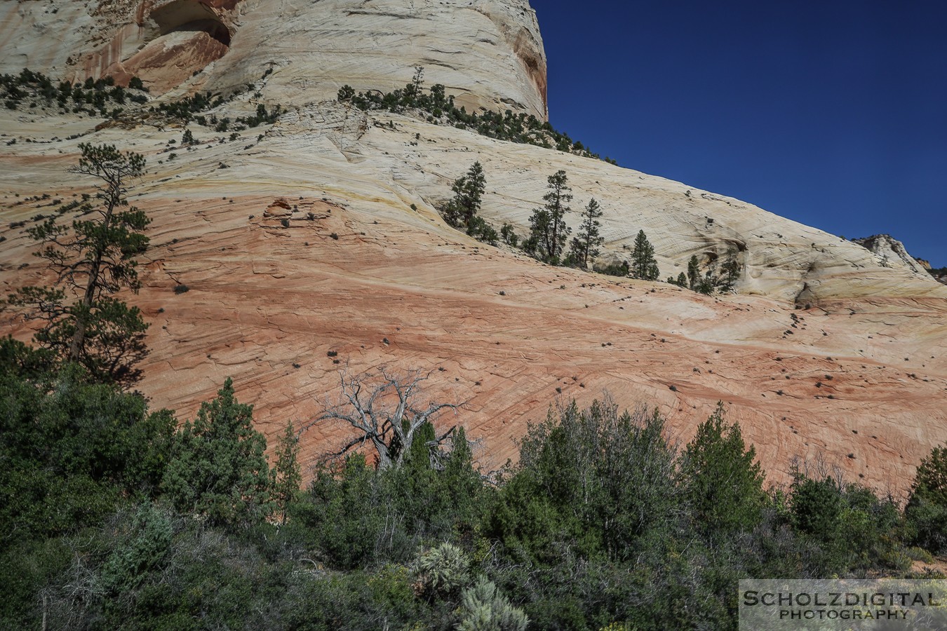 Temple-Cap-Formation