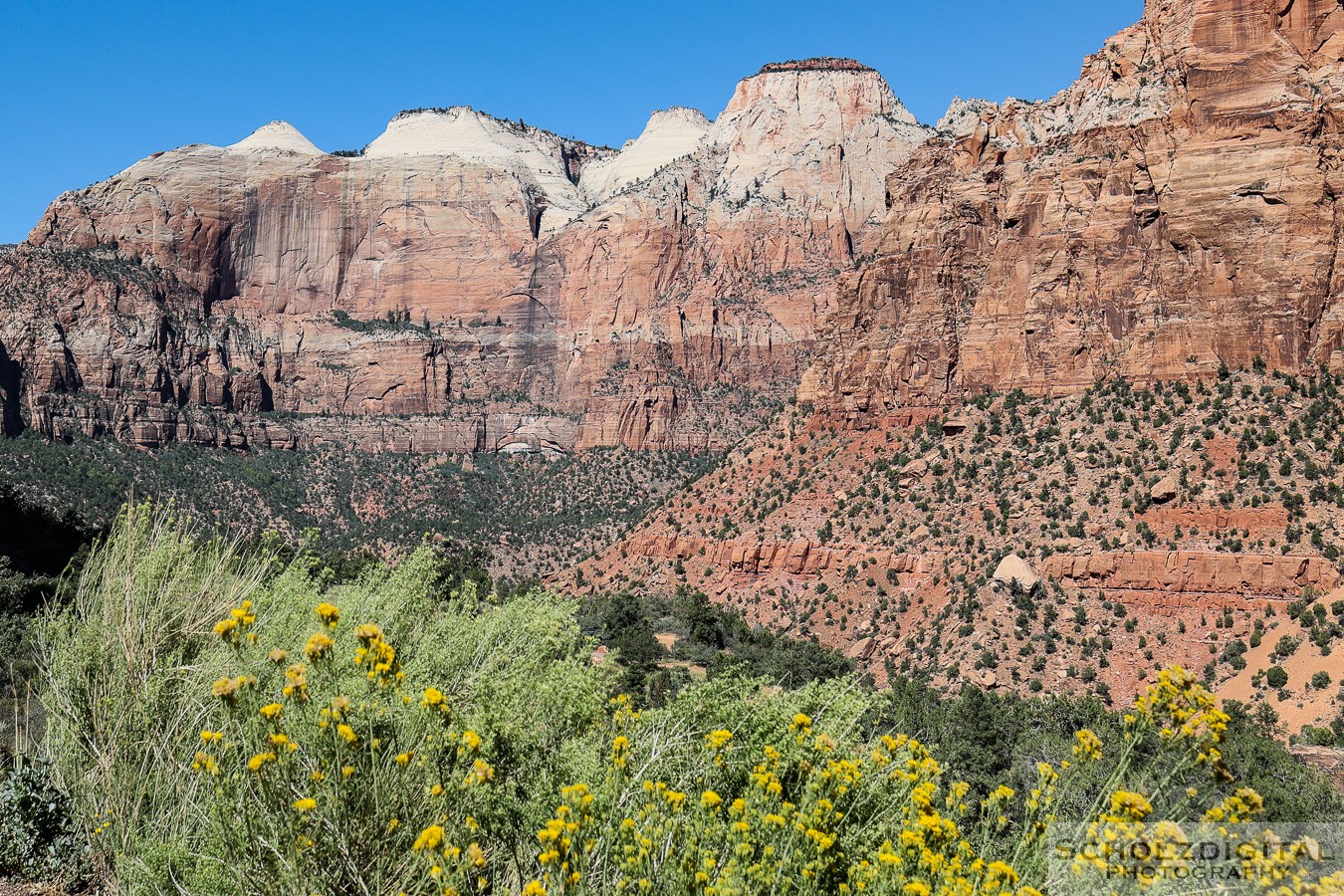 Zion Canyon